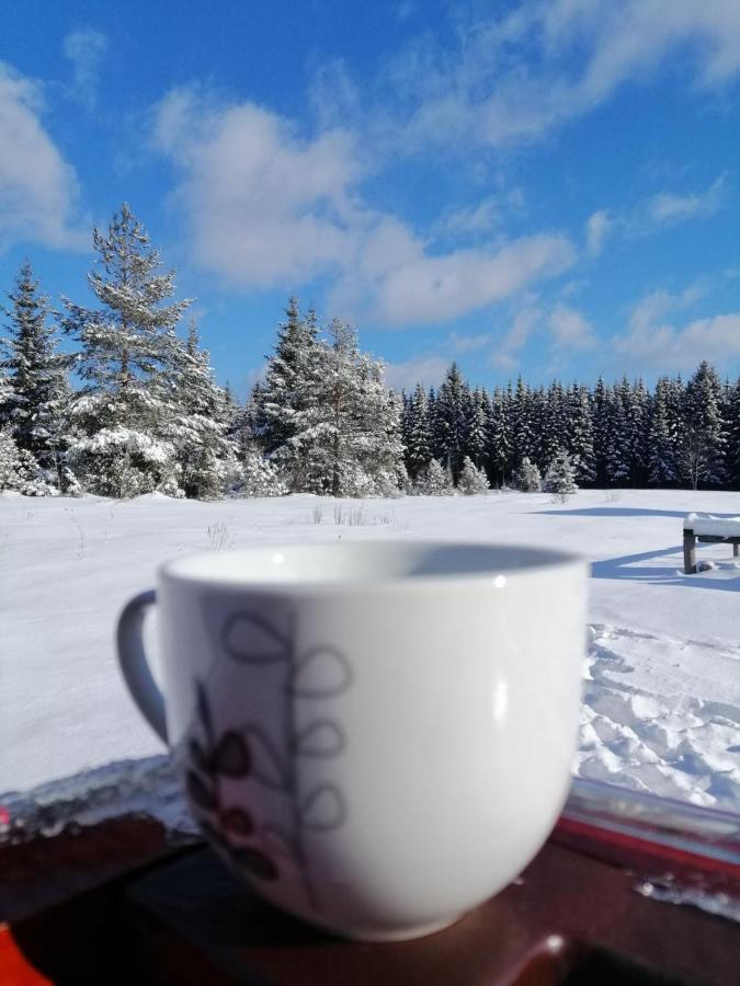 Вилла Mountain House Tadic 1 Баина-Башта Экстерьер фото